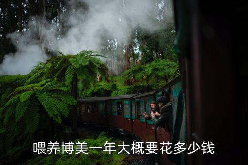 五個月博美狗糧喂多少錢，博美犬每個月養要多少錢主要吃哪些難養不