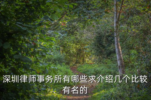 深圳哪家律所事務所，深圳律師事務所有哪些求介紹幾個比較有名的