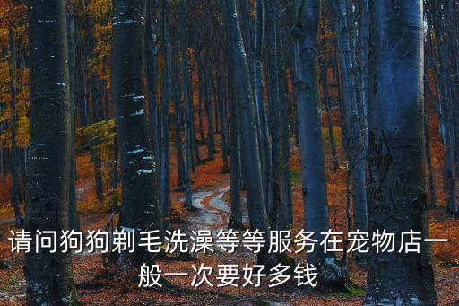 貴賓犬剃毛多少錢，貴賓犬剪毛和洗澡需要多少錢