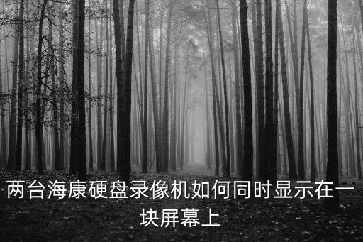 兩臺?？涤脖P錄像機如何同時顯示在一塊屏幕上