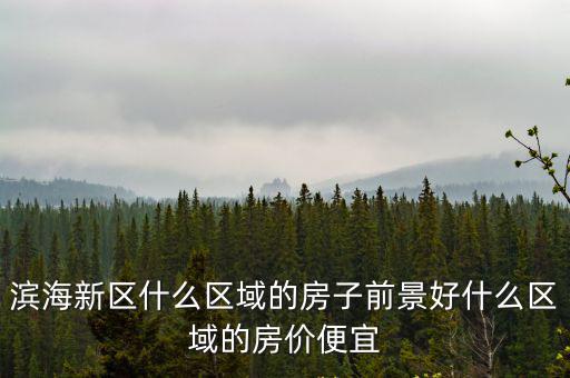 濱海新區(qū)什么區(qū)域的房子前景好什么區(qū)域的房?jī)r(jià)便宜