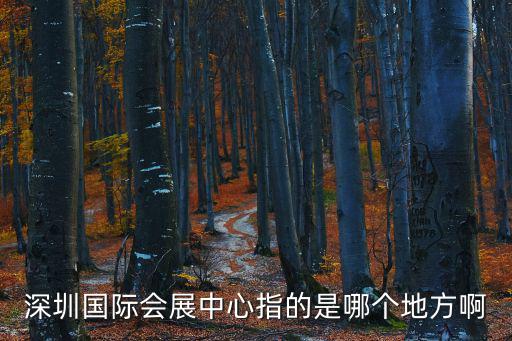 深圳國際會展中心指的是哪個地方啊