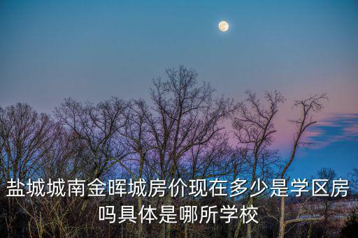 鹽城房價最低的學校是哪個，鹽城城南金暉城房價現在多少是學區房嗎具體是哪所學校