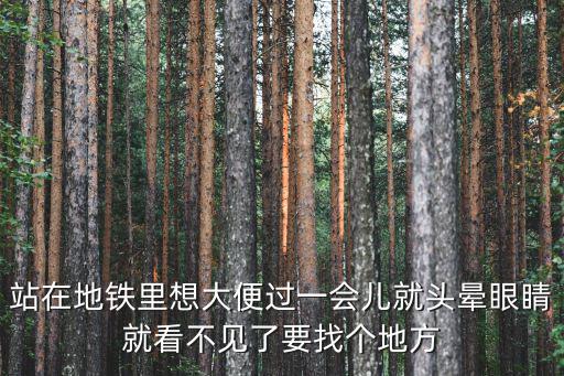 站在地鐵里想大便過一會兒就頭暈眼睛就看不見了要找個地方