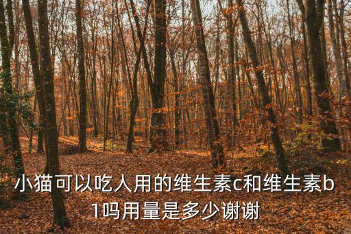 小貓可以吃人用的維生素c和維生素b1嗎用量是多少謝謝