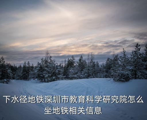 深圳泥崗去下水徑，想知道 深圳市 下水徑公交車站公交線路的信息