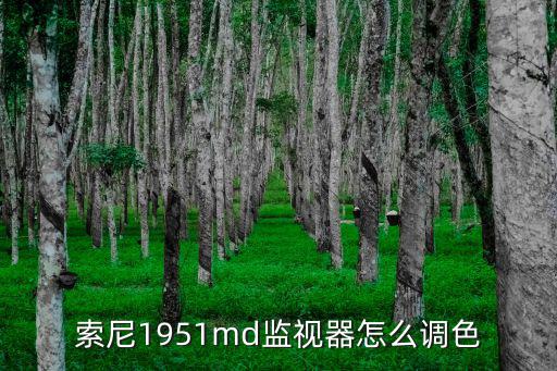 索尼1951md監視器怎么調色