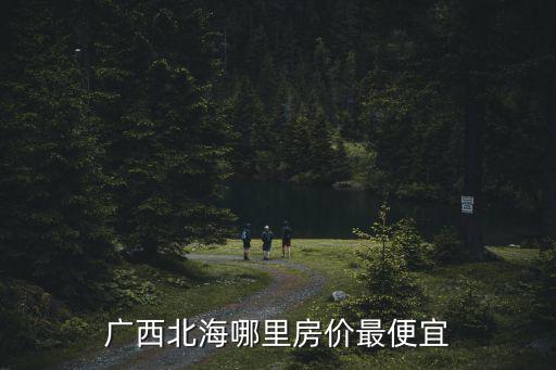 廣西哪個鎮房價低，廣西最低房價的地方