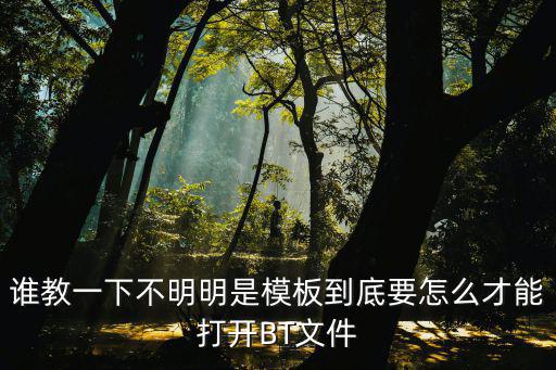 誰教一下不明明是模板到底要怎么才能打開BT文件