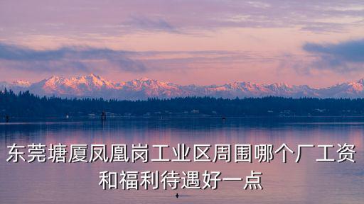 東莞塘廈鳳凰崗工業區周圍哪個廠工資和福利待遇好一點
