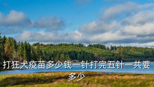 一般狂犬疫苗多少錢，打狂犬疫苗多少錢一針打完五針一共要多少