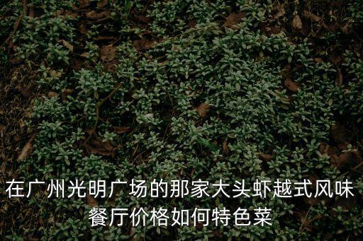 在廣州光明廣場的那家大頭蝦越式風味餐廳價格如何特色菜