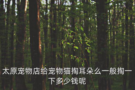 太原寵物店給寵物貓掏耳朵么一般掏一下多少錢呢