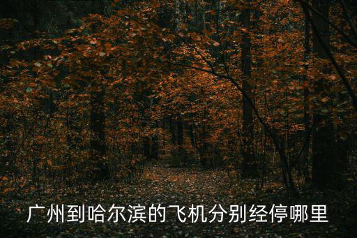 廣州到哈爾濱的飛機分別經停哪里