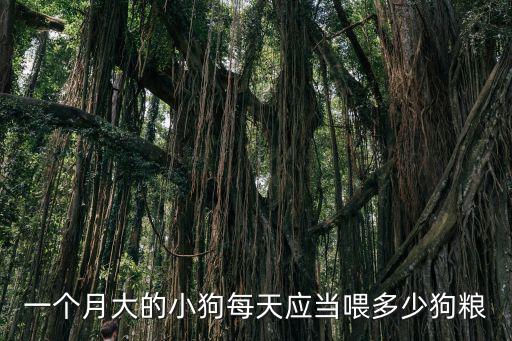 一個月大的小狗每天應(yīng)當(dāng)喂多少狗糧
