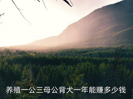 養殖一公三母公背犬一年能賺多少錢