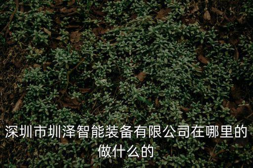 深圳市圳澤智能裝備有限公司在哪里的做什么的