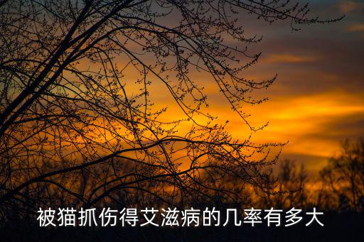 被貓抓傷得艾滋病的幾率有多大
