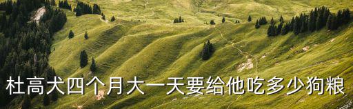 杜高犬四個月大一天要給他吃多少狗糧