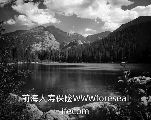 前海人壽保險WWWforeseaIifecom