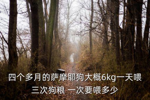 薩摩一頓狗糧吃多少，兩個月的薩摩應該喂多少狗糧