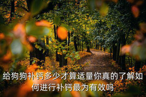給狗狗補鈣多少才算適量你真的了解如何進行補鈣最為有效嗎