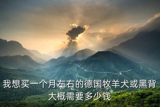 我想買一個月左右的德國牧羊犬或黑背大概需要多少錢