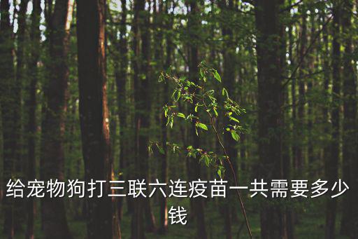 狗的三聯疫苗多少錢，小狗要打幾次疫苗要多少錢的樣子泰迪