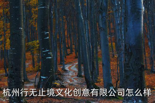 杭州行無(wú)止境文化創(chuàng)意有限公司怎么樣