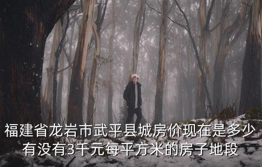 福建省龍巖市武平縣城房價(jià)現(xiàn)在是多少有沒有3千元每平方米的房子地段