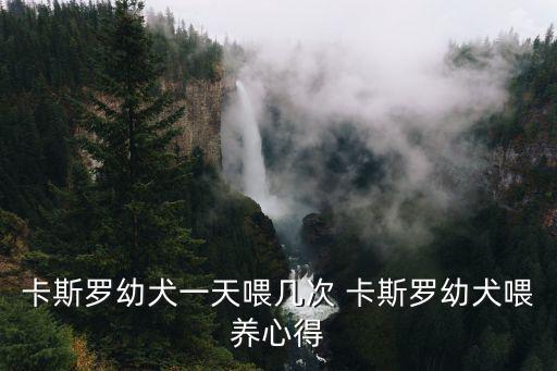 卡斯羅幼犬一天喂幾次 卡斯羅幼犬喂養心得