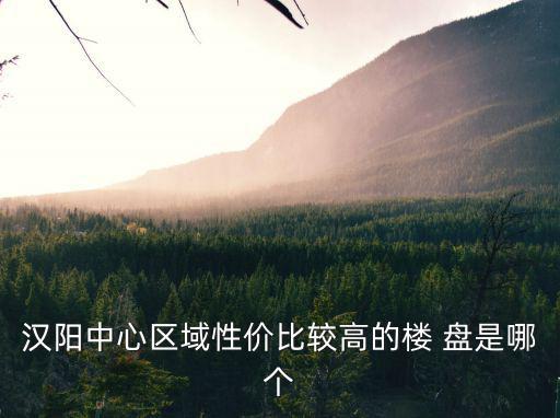 漢陽中心區域性價比較高的樓 盤是哪個