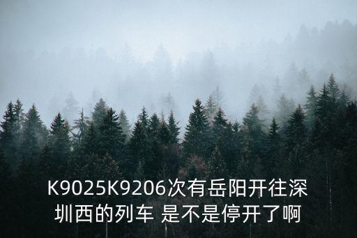 K9025K9206次有岳陽開往深圳西的列車 是不是停開了啊