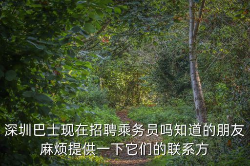 深圳巴士現在招聘乘務員嗎知道的朋友麻煩提供一下它們的聯系方