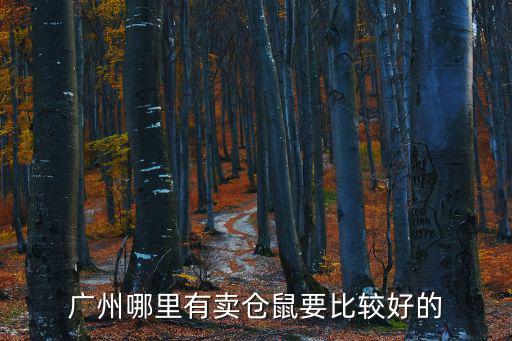 廣州哪里有賣倉鼠要比較好的