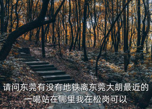 請問東莞有沒有地鐵離東莞大朗最近的一喝站在哪里我在松崗可以