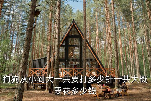 狗狗從小到大一共要打多少針一共大概要花多少錢