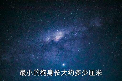 狗身長多少厘米，一條狗身長多少