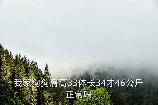 狗狗肩高多少，什么是狗狗體高和肩高