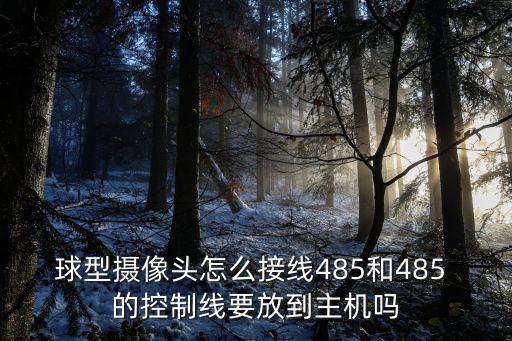 球型攝像頭怎么接線485和485 的控制線要放到主機嗎