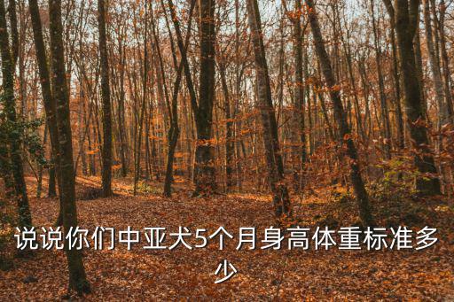 說說你們中亞犬5個(gè)月身高體重標(biāo)準(zhǔn)多少