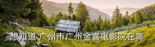 廣州的電影院在哪里，想知道 廣州市廣州金喜電影院在哪