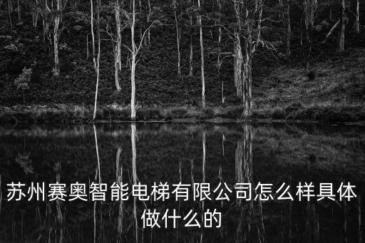 蘇州賽奧智能電梯有限公司怎么樣具體做什么的