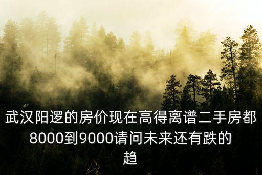 武漢陽邏的房價現在高得離譜二手房都8000到9000請問未來還有跌的趨