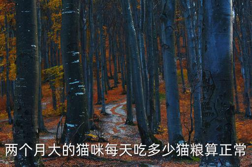 兩個月大的貓咪每天吃多少貓糧算正常