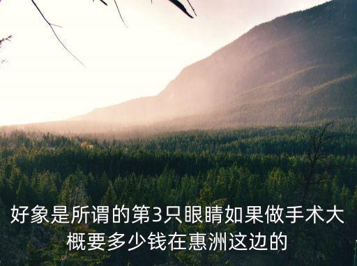 好象是所謂的第3只眼睛如果做手術大概要多少錢在惠洲這邊的