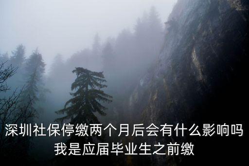 深圳社保2月份可以不交嗎，深圳社保2個月沒交會怎樣