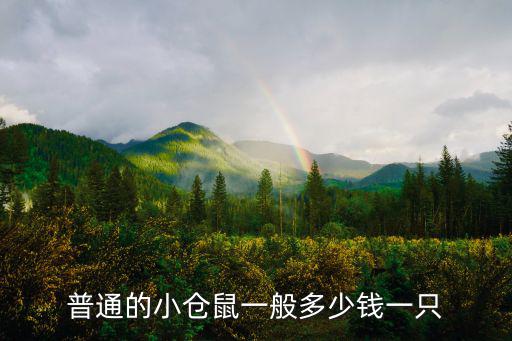 一只便宜的倉(cāng)鼠多少錢，普通的小倉(cāng)鼠一般多少錢一只