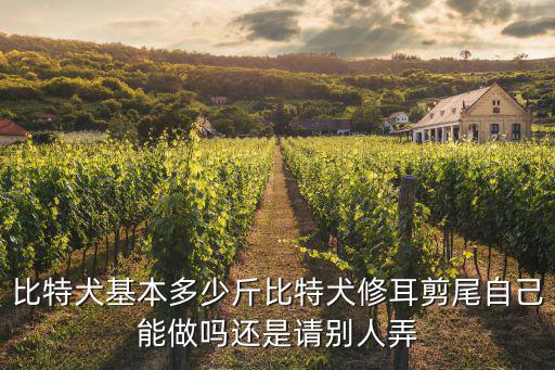 比特犬基本多少斤比特犬修耳剪尾自己能做嗎還是請別人弄
