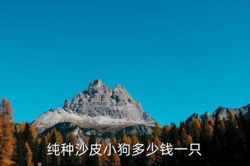 沙皮犬一只多少錢，沙皮犬純種多少錢一只